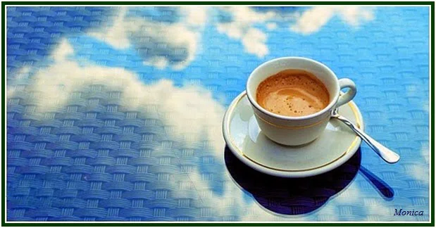 A Arte de Saborear Café