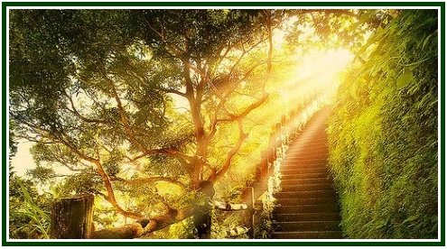 Stone staircase ascending through a sunlit forest, symbolizing the practical path of virtue in Stoic philosophy and Musonius Rufus' teachings.