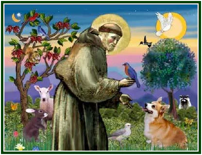 francisco-o-santo-panteista-aux-com-mold