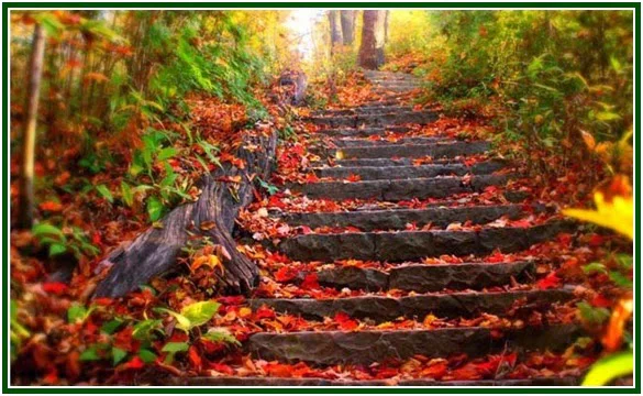 Renunciation Is Freedom