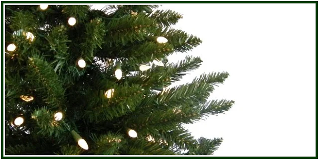 The Origin of the Christmas Tree