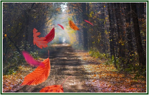 Thoughts Along the Road – 05