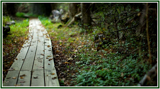 Thoughts Along the Road – 07