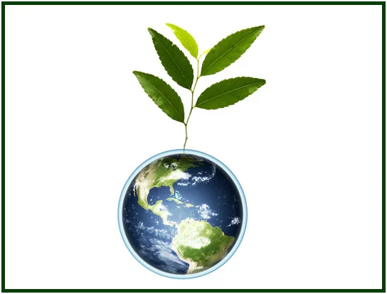 The Tree of Universal Brotherhood