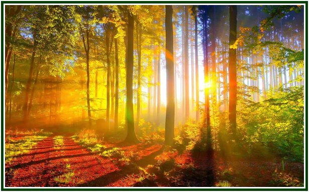The Way, the Truth and the Light