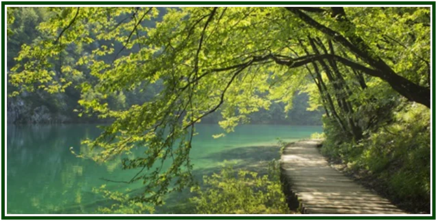Thoughts Along the Road – 11