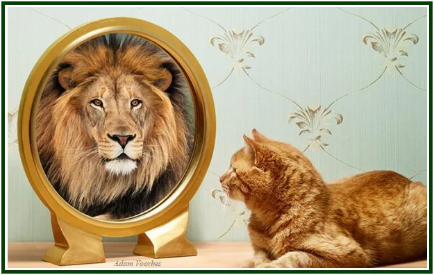 The Key to Self-Knowledge