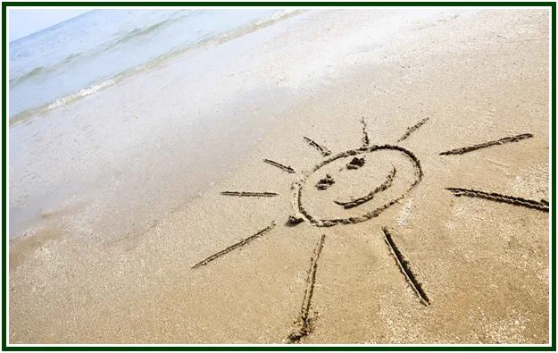 The Habitude of Happiness