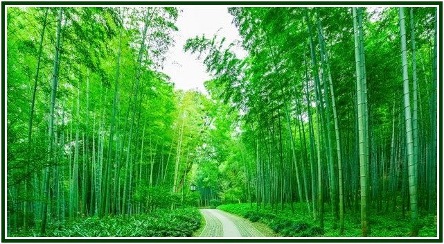 Ideas a lo Largo del Camino – 05