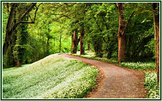 Thoughts Along the Road – 23