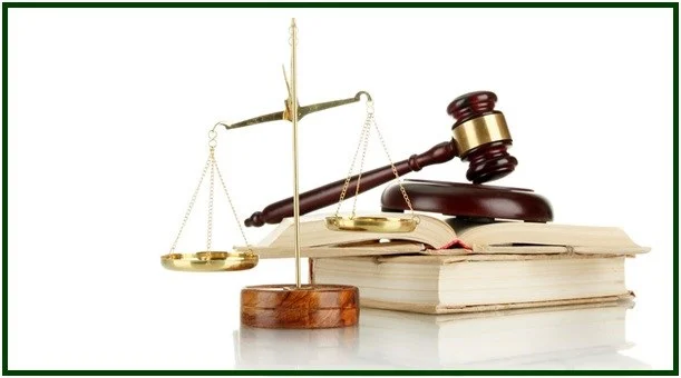 Immortal Sages Humbly Obey the Law