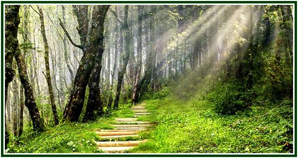 Thoughts Along the Road – 36