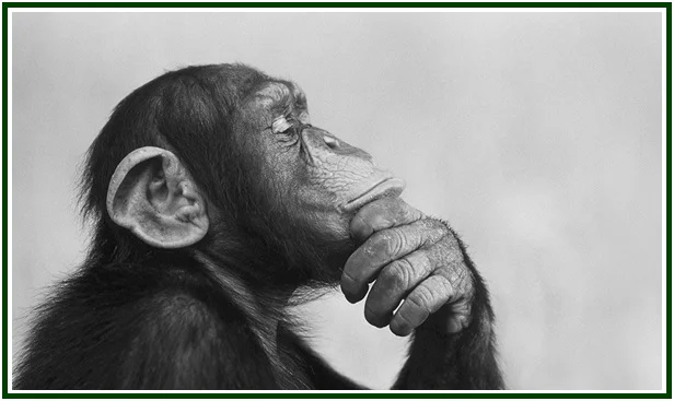 Thoughts Along the Road – 39