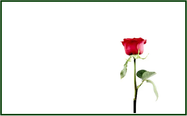 La Rosa de Paracelso