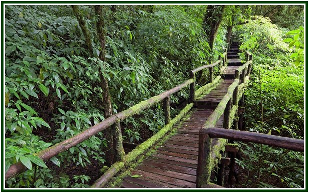 Ideias ao Longo do Caminho – 33