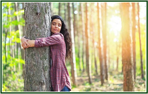 On Listening to the Trees