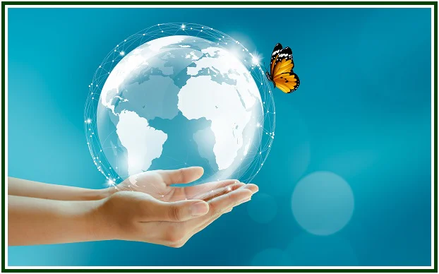 The Butterfly Effect