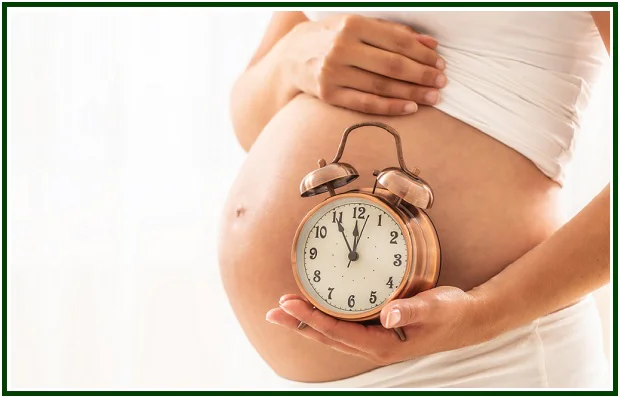 The Fourfold Placenta