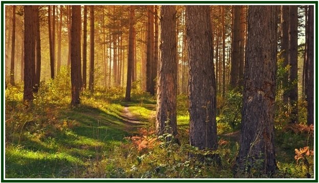 Thoughts Along the Road – 63