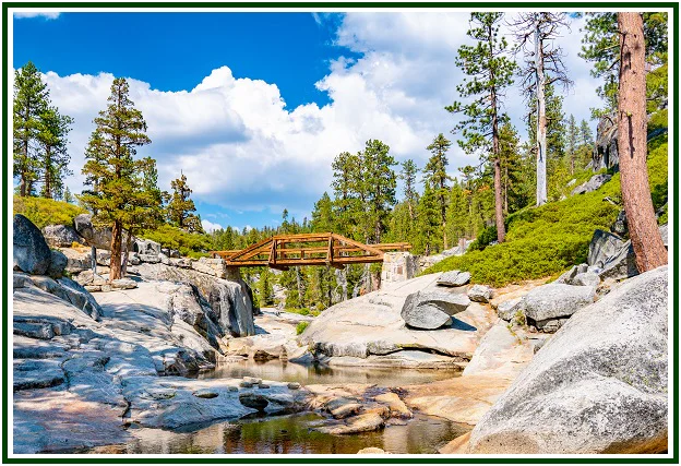 Thoughts Along the Road – 81