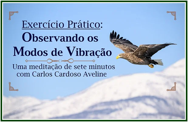 Nove Vídeos com Carlos Cardoso Aveline