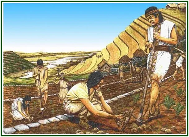 Ilustración histórica de campesinos andinos cultivando la tierra en los ayllus, utilizando herramientas agrícolas tradicionales frente a terrazas de cultivo en las montañas.
